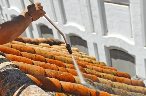 Nettoyage de toitures - Saint-Siméon-de-Bressieux